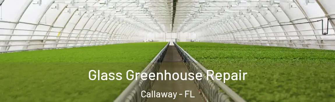  Glass Greenhouse Repair Callaway - FL
